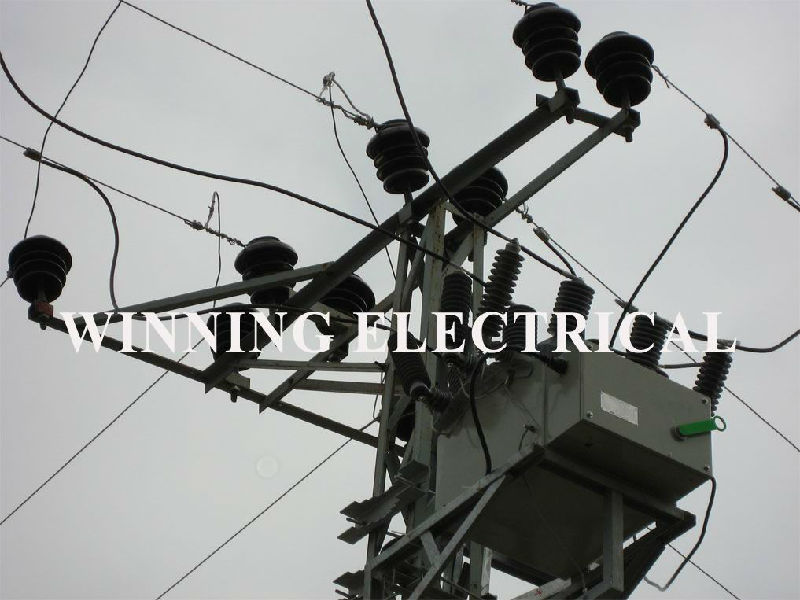 Porcelain_Ceramic_Pin_Insulators_on_Distribution_Line_by_Winning-Electrical_www.winning-electrical.com.jpg